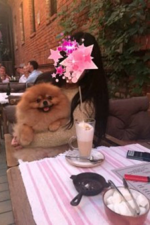 Escort girl роза 